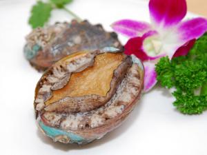 鮑魚如何挑選?鮑魚如何挑選