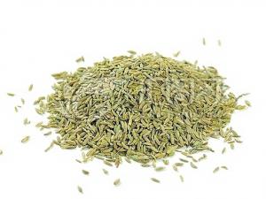 每日3克孜然有助降脂減肥-孜然的作用