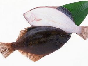 吃對脂肪可以強(qiáng)心健體-含脂肪食物哪些好