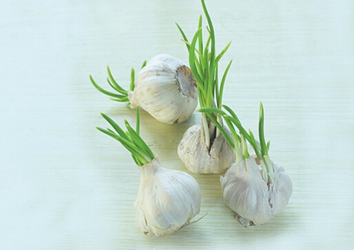 �lѿ������Գԣ�׌���벻�������湦Ч