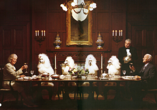 ���嵭��֬������������׌�������