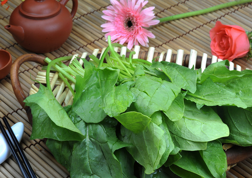 ����+�Թ����Ա��oҕ��-ʳ�����_����I�B����