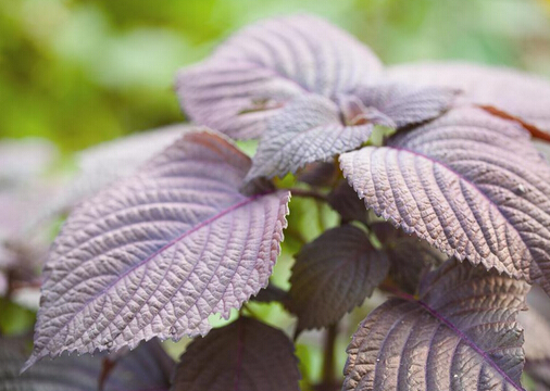 ��������K�_θ������a�I-�ļ��B���֪