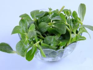 涼拌菜怎么吃才健康?吃涼拌菜最好放抗菌菜