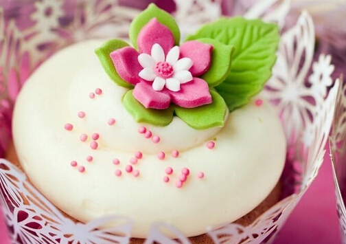 �����y����������-���»���ʳ����