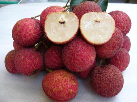 ���ӳ���֦���ϻ𣿳���֦���ϻ�ķ���������֦�ϻ���ô�k