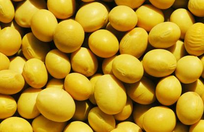 ����ʳ���B��������12�Nʳ��׌�������h������ʢ�����S��