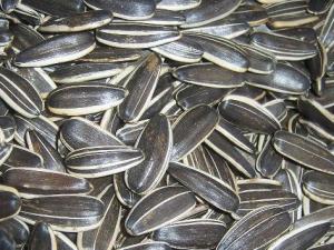 瓜子吃多了對(duì)身體好嗎?瓜子吃多了有哪些危害