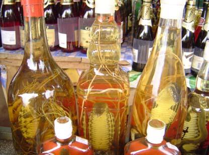 ��ˎ�Ƶ�ע�����-��ˎ����ʲô����