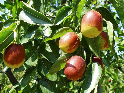 ����ԗ��ò��ã�����ô�Ը���