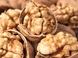 吃什么補腦？如何增強記憶力？9種食物滋補大腦