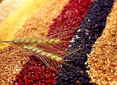 ��������{(di��o)���cθ���嵭�ּZ�����B(y��ng)θˎ��