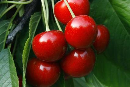 ���´���r(sh��)��ˮ�������ҵĠI(y��ng)�B(y��ng)�r(ji��)ֵ