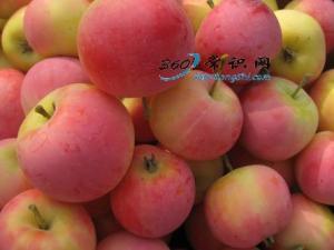 沙果怎么吃?吃沙果的食用禁忌