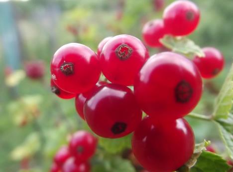 ������ô�ԣ��Դ�����ʳ�ý���