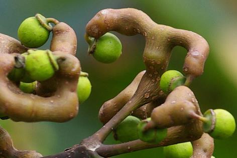 �՗���ô�ԣ��Թ՗���ע�����