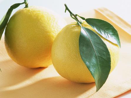 ��������ӺÆ᣿�����ǳ����ӵĴ�Õr(sh��)��(ji��)