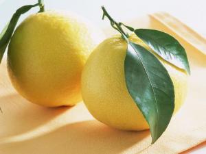 冬天吃柚子好嗎？冬天是吃柚子的大好時節