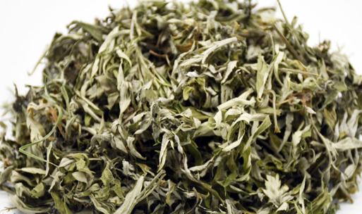 曬干艾葉煮水有毒嗎 曬干艾葉熬水喝功效與作用