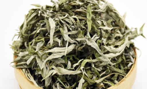 曬干艾葉煮水有毒嗎 曬干艾葉熬水喝功效與作用