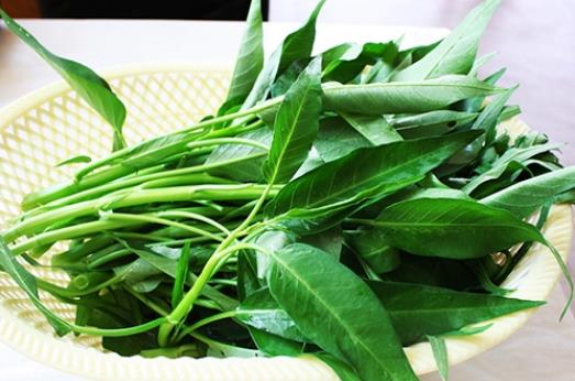 空心菜可以降血壓嗎?空心菜不能和什么一起吃?