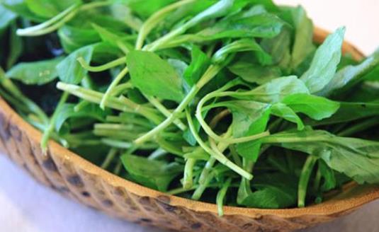 馬蘭頭根的營養價值有哪些?馬蘭頭根的副作用有什么?