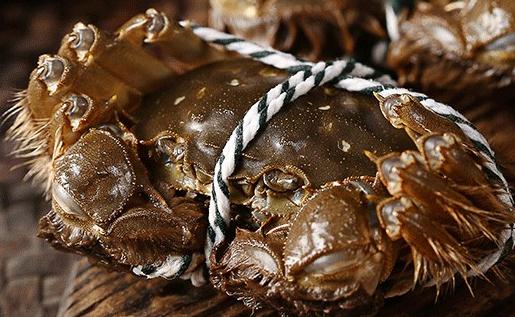 蒸大閘蟹為什么要放一片姜 大閘蟹腿上的毛怎么處理