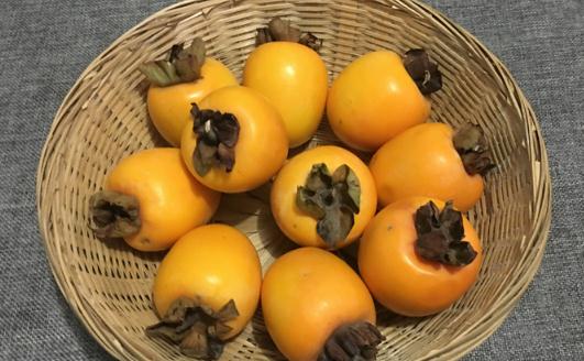 吃完柿子能吃橘子嗎 吃完柿子能喝水嗎