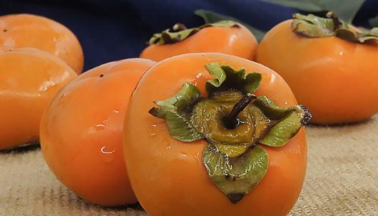 吃完柿子能吃橘子嗎 吃完柿子能喝水嗎