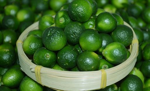 ?金桔是上火的還是去火的 金桔適用寒咳還是熱咳