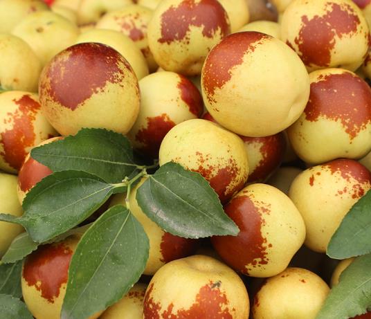 ?紅棗沒曬干之前叫什么?青的冬棗采下來自己會(huì)熟嗎