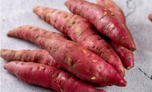 吃紅薯是減肥還是增肥 紅薯每天吃多少最健康