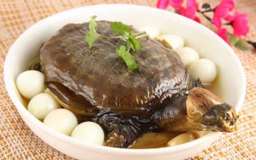 ?甲魚吃了會過敏嗎 甲魚吃了會上火嗎