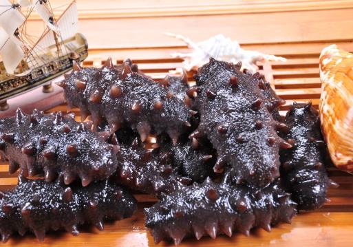 海參帶刺和不帶刺的哪個好?海參發白是什么原因