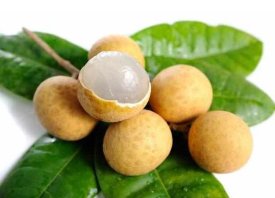 桂圓發(fā)芽了可以種嗎?一天吃一斤桂圓干會怎么樣