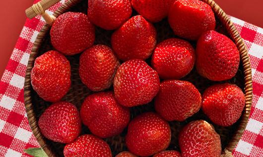 丹東草莓為什么免洗 草莓不洗直接吃可以嗎