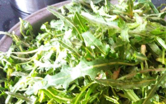 孕婦能吃苦菜嗎?孕婦吃苦菜的好處有哪些?