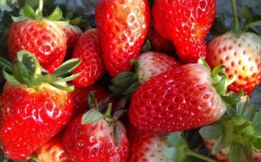 吃多了草莓會(huì)不會(huì)導(dǎo)致肚子痛 草莓吃之前怎樣洗才干凈