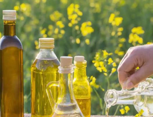 菜籽油有白色沉淀物是怎么回事?菜籽油是什么菜籽做的