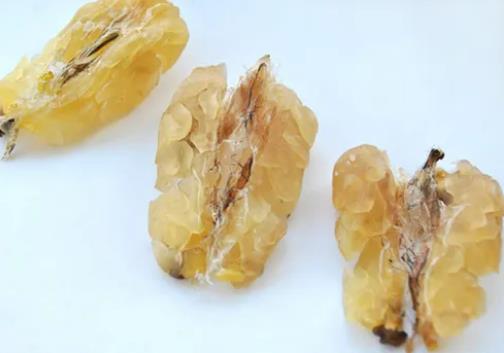 ��ѩ������a��Ƽ��؆᣿ѩ��һ��Ҫ��ˮ����