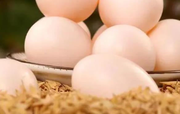 鴿子蛋通常煮多久?鴿子蛋可以用茶葉煮嗎?