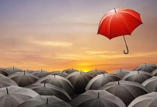 買1000塊的基金最多虧多少?1000塊的基金一天能賺多少