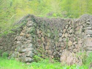 如何看墓地風(fēng)水?墓地風(fēng)水學(xué)知識