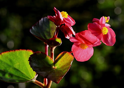 �ﺣ���c�Ҿ��L��Ĵ���-�ﺣ���ڼҾ��е�����