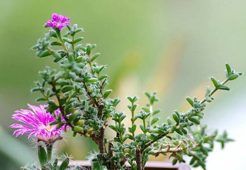 ���tС���c�Ҿ��L(f��ng)��Ĵ���-���tС�ɵ��L(f��ng)ˮ�W(xu��)��(y��ng)��