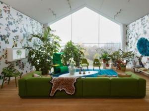 ?裝修后如何除甲醛?除甲醛最有效方法及植物