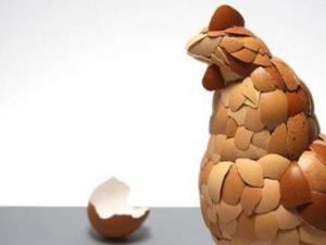 �u����������ˎ�ù�Ч-�u��������Ҫ�ɷ�