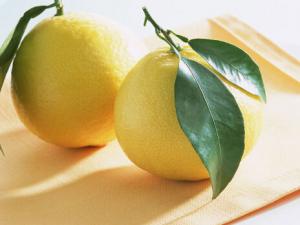 柚子能減肥嗎?柚子的營養與功效