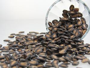 吃瓜子會胖嗎?吃瓜子對減肥的影響