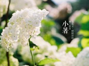 小暑什么意思?小暑怎么預(yù)防中暑